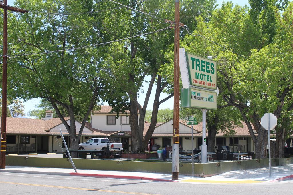 Trees Motel Bishop Kültér fotó