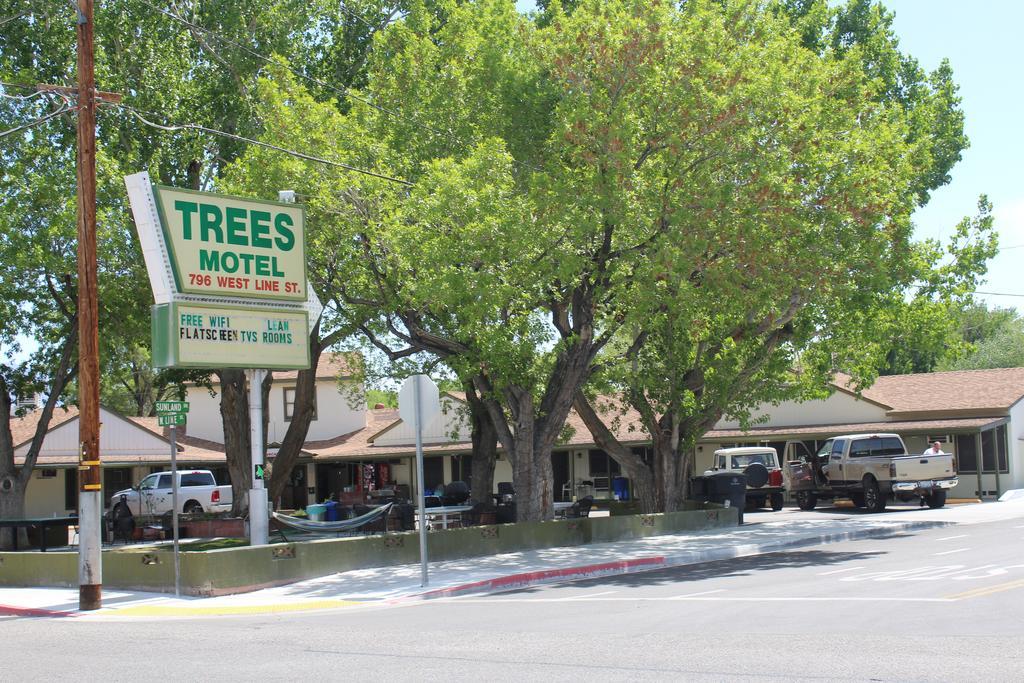 Trees Motel Bishop Kültér fotó