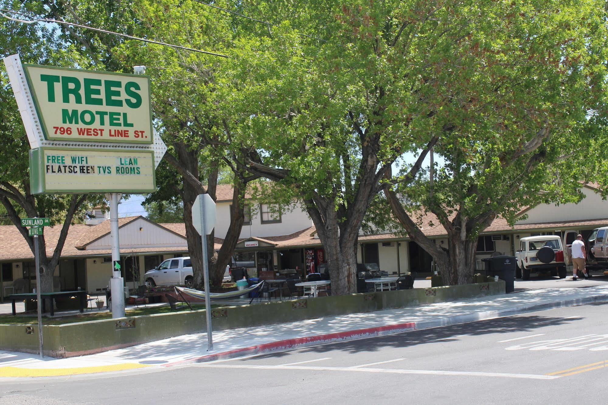 Trees Motel Bishop Kültér fotó